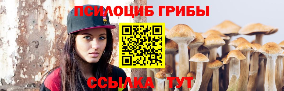 Нижнеудинск  Галлюциногенные грибы ЛСД  Вход с VPN 