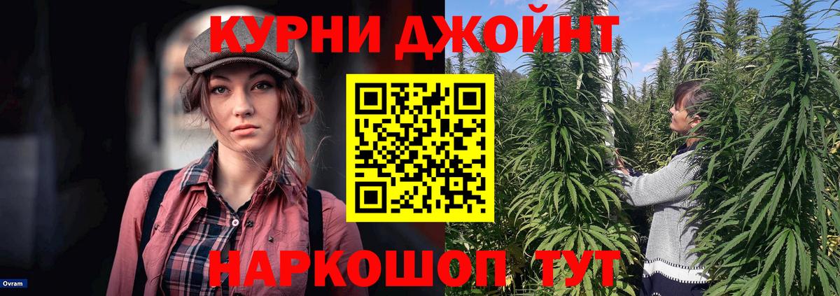 Канабис ГИДРОПОН  Конопля OG Kush  Конопля план  Нижнеудинск  Вход с VPN 